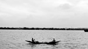 rowing across languages